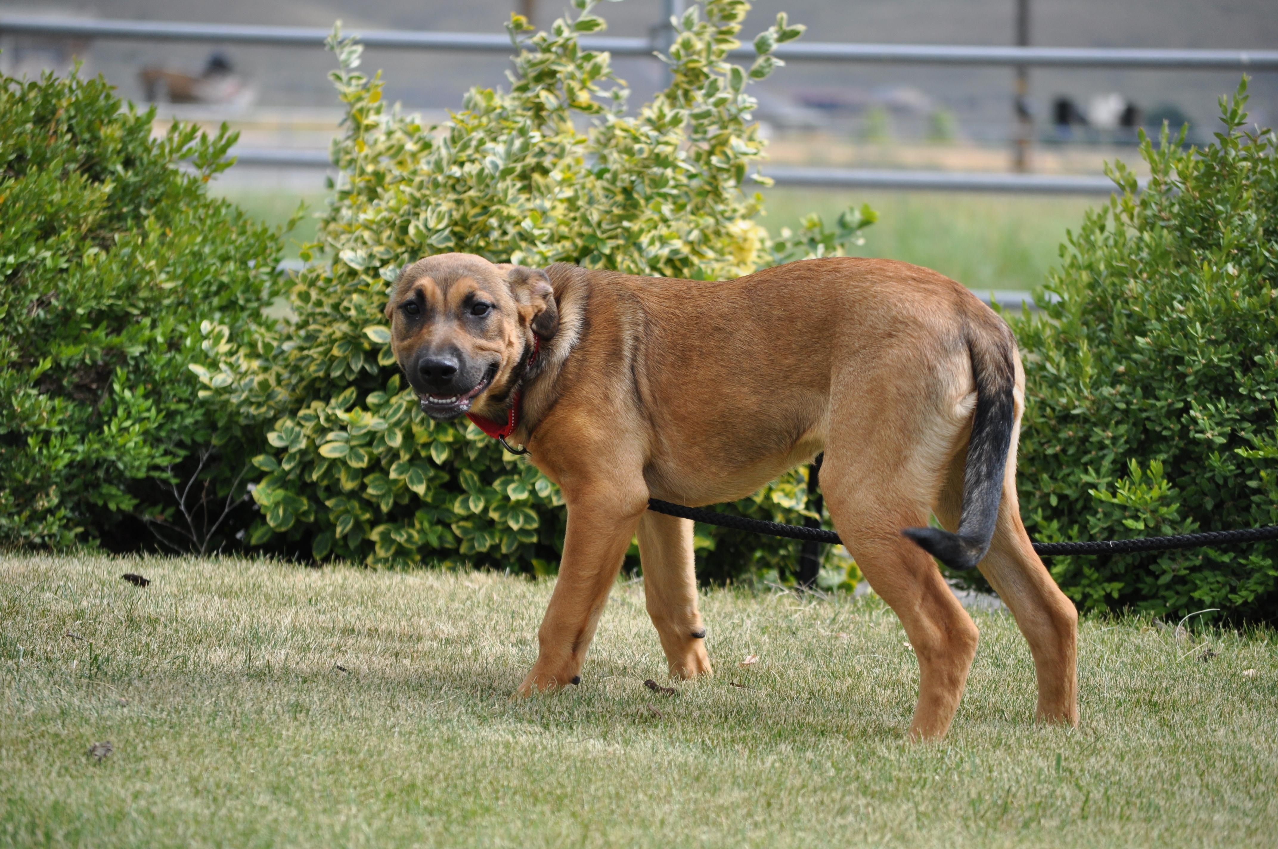Iris photo 3
