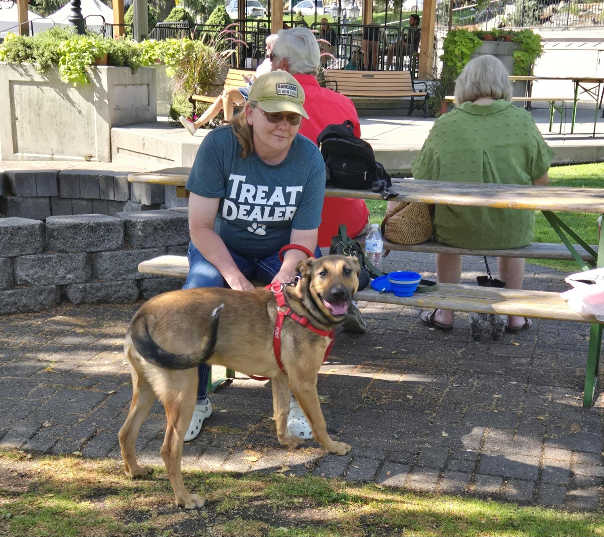 Iris, an adoptable Shepherd, Mixed Breed in Union Gap, WA, 98903 | Photo Image 4