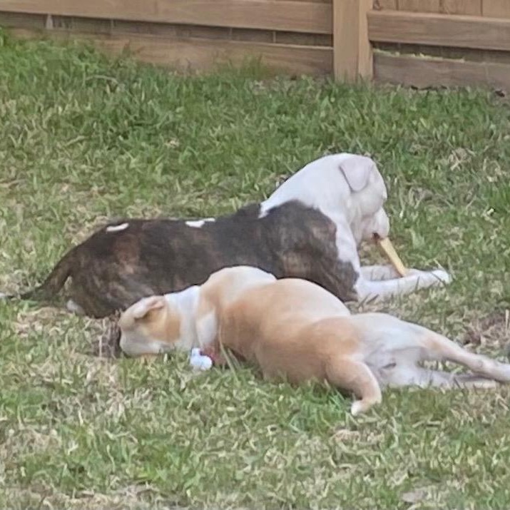 Bonnie and Clive — thumbnail 5