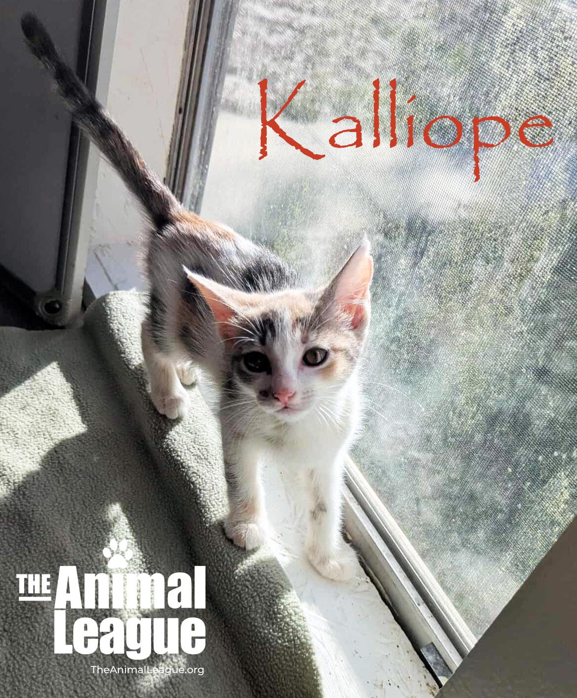 Kalliope