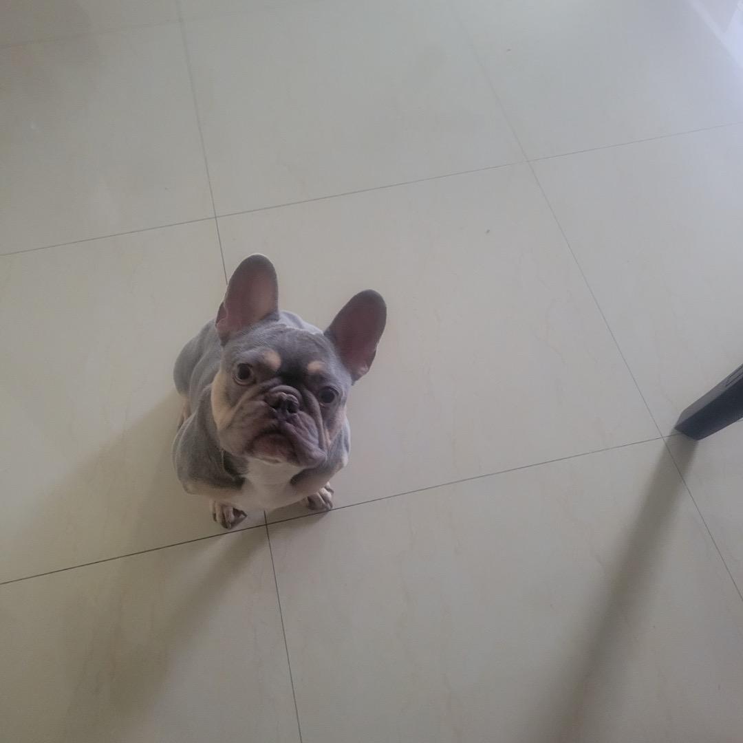 Hollywood thumbnail 3