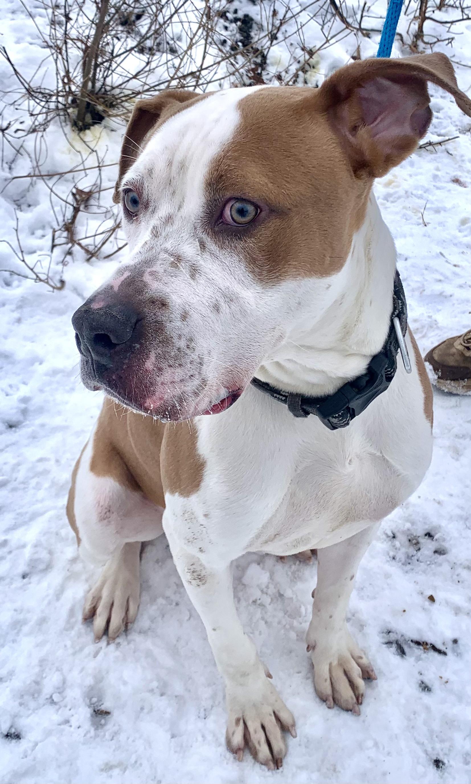 Bash — thumbnail 2