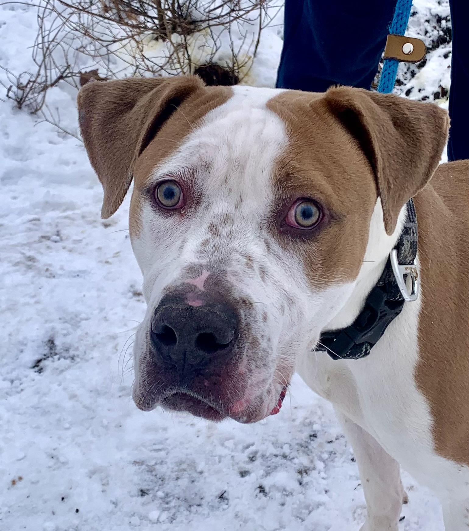 Bash — thumbnail 4