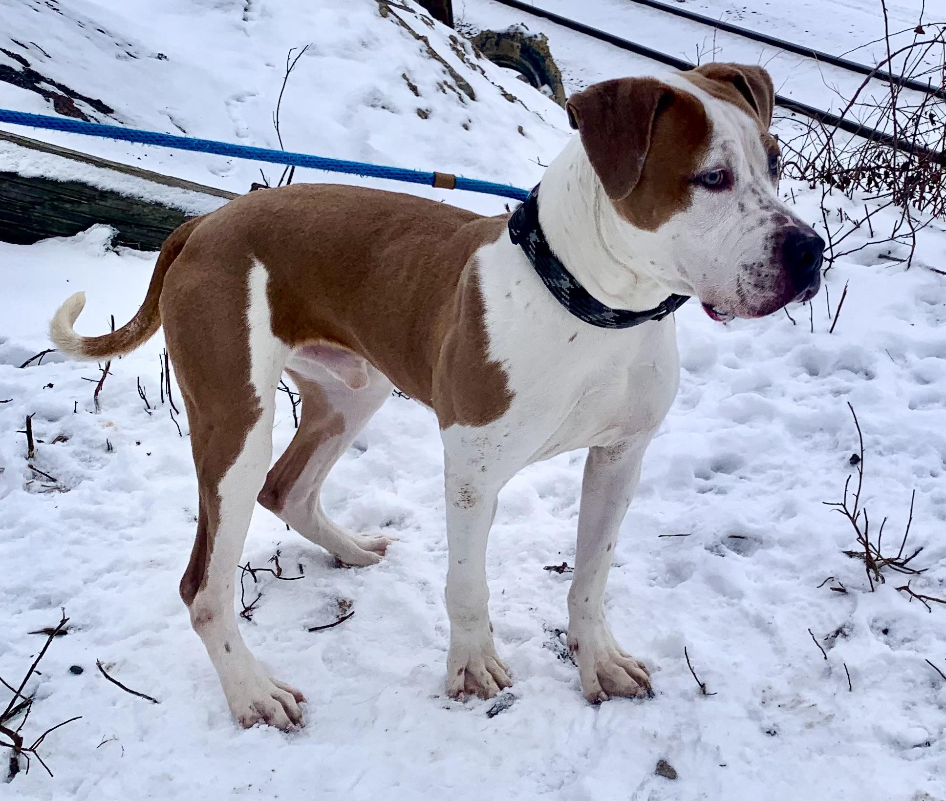 Bash — thumbnail 6