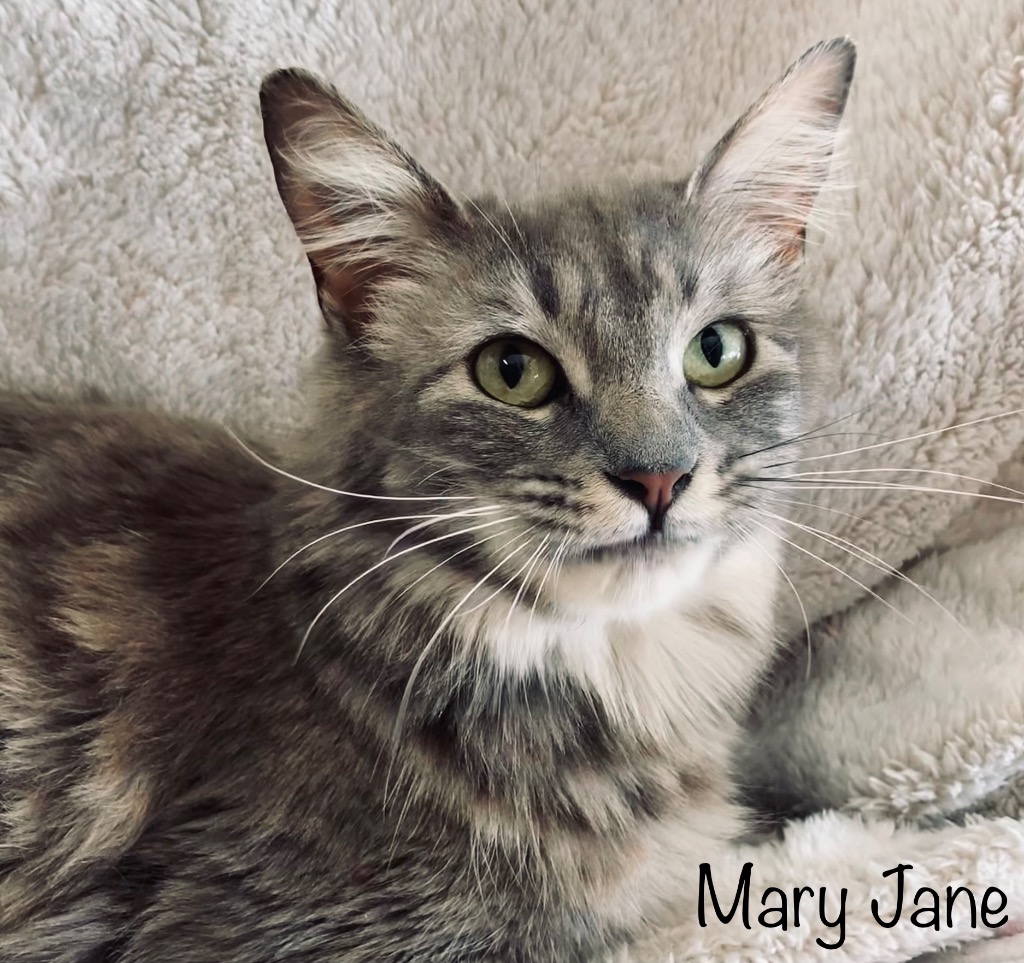 Mary Jane (bonded w/ Sandals)