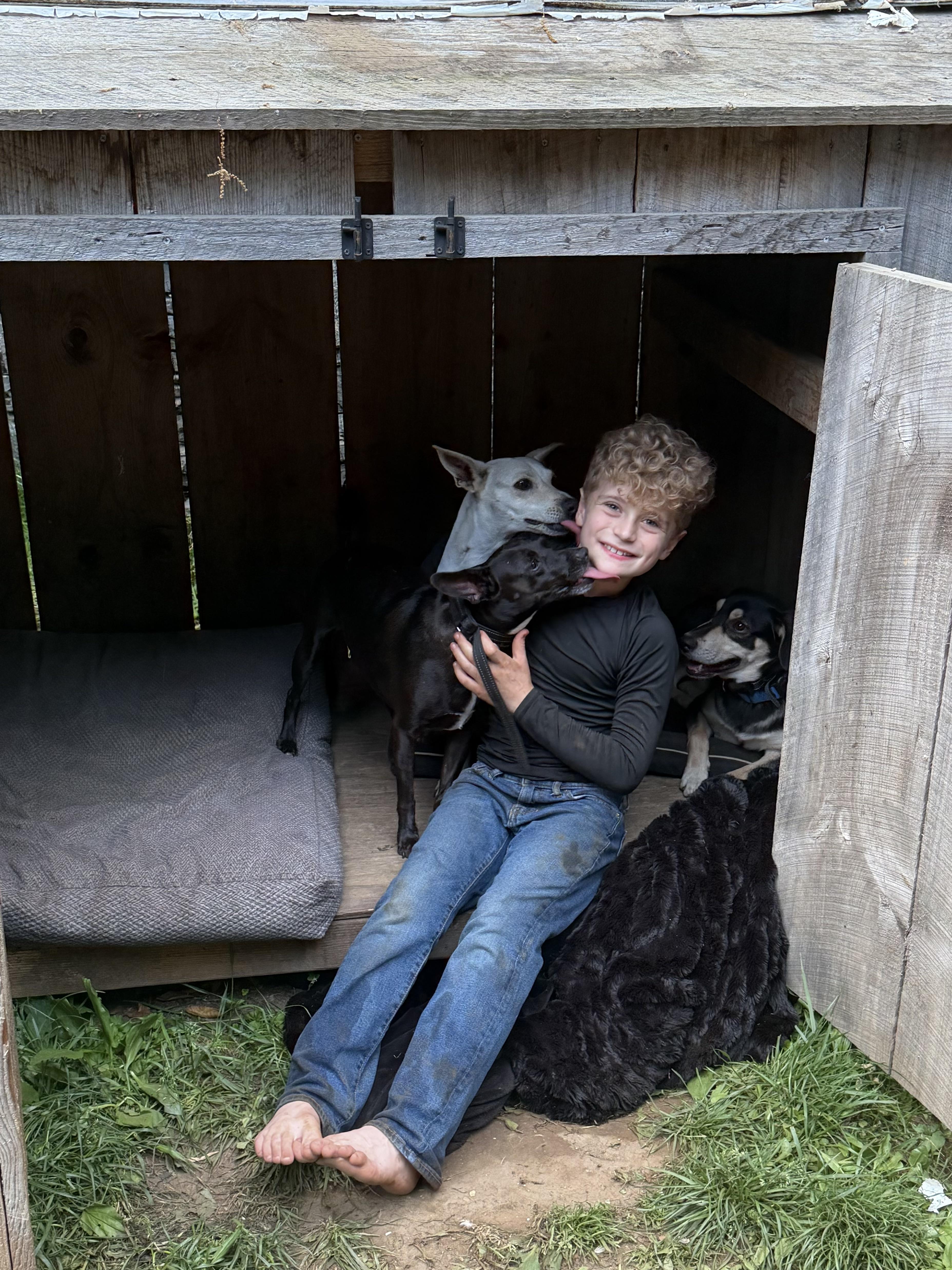 Enlarge Sally, a Adoptable mixed breed in Ridgefield, CT image 2/6