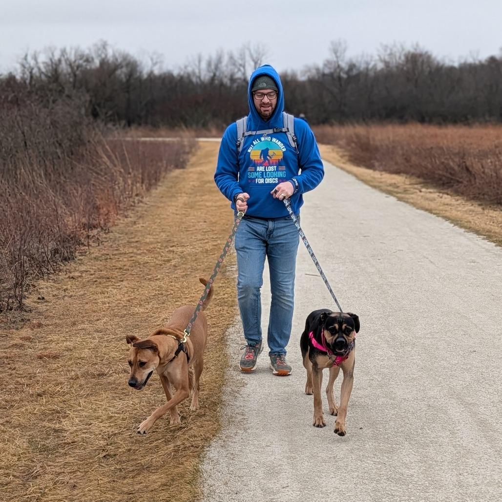 Enlarge Azula - In Foster to Adopt, a Adoptable Mixed Breed in Naperville, IL image 2/6