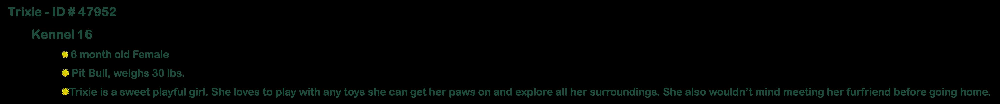 Bentley — thumbnail 4