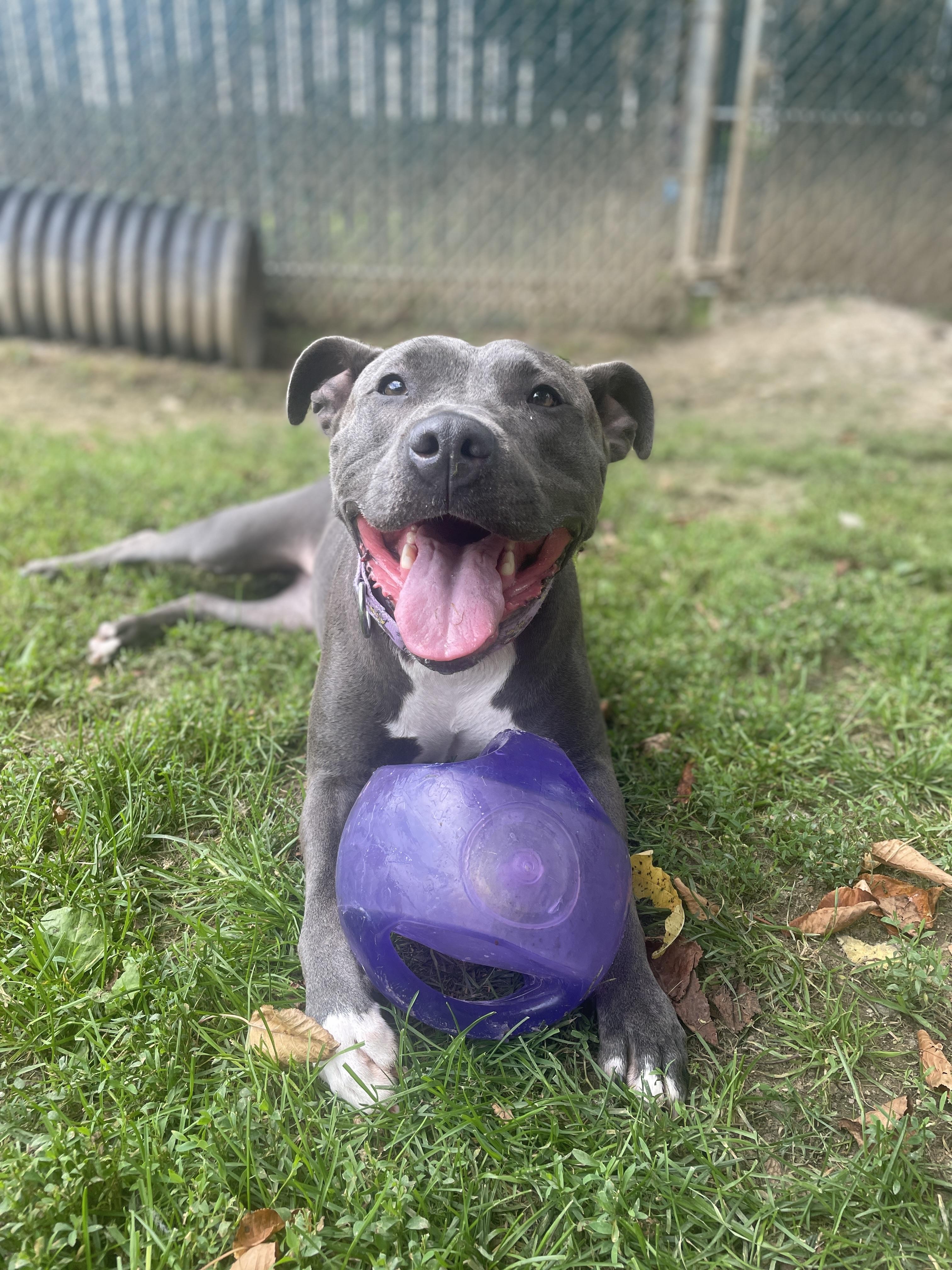 Ella