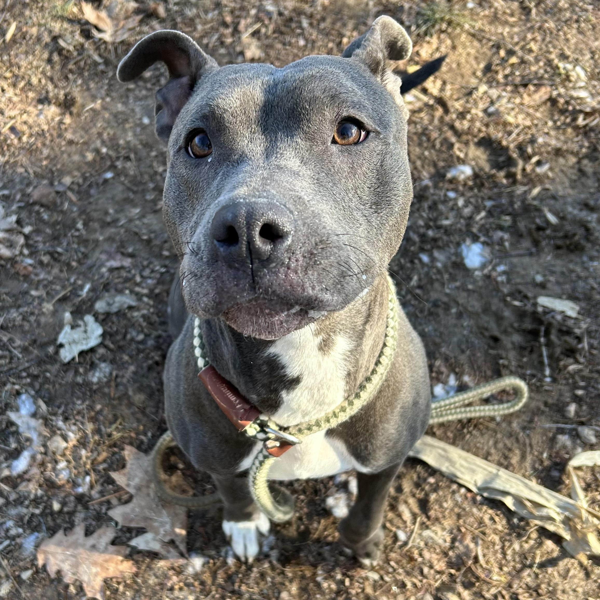 Ella