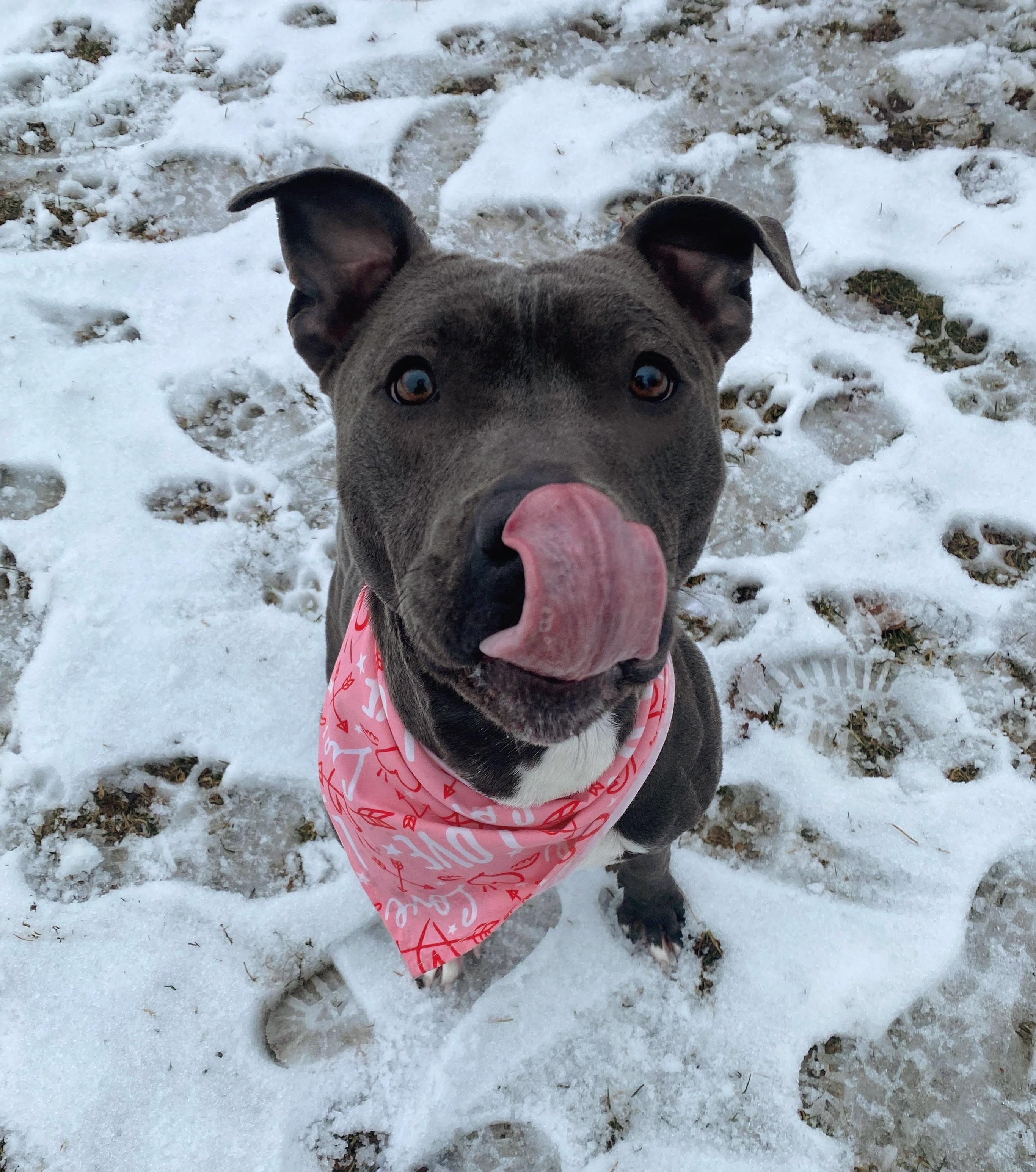 Ella