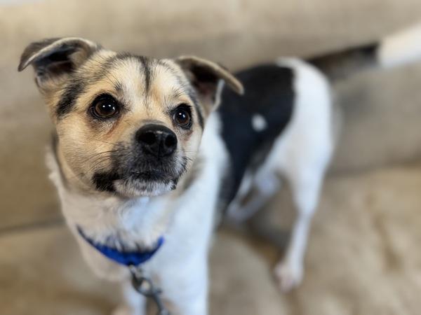 Stork — thumbnail 2