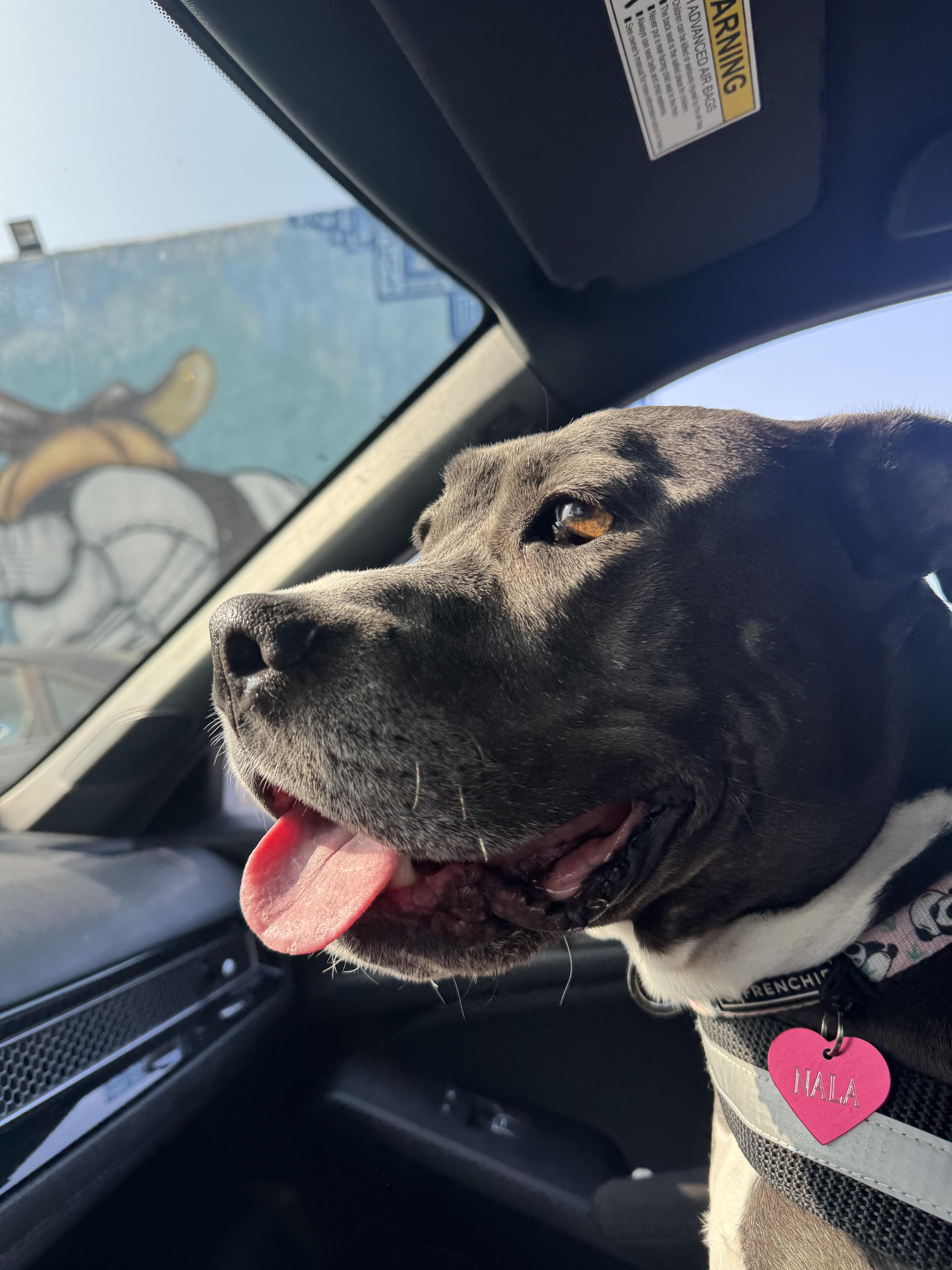 Nala