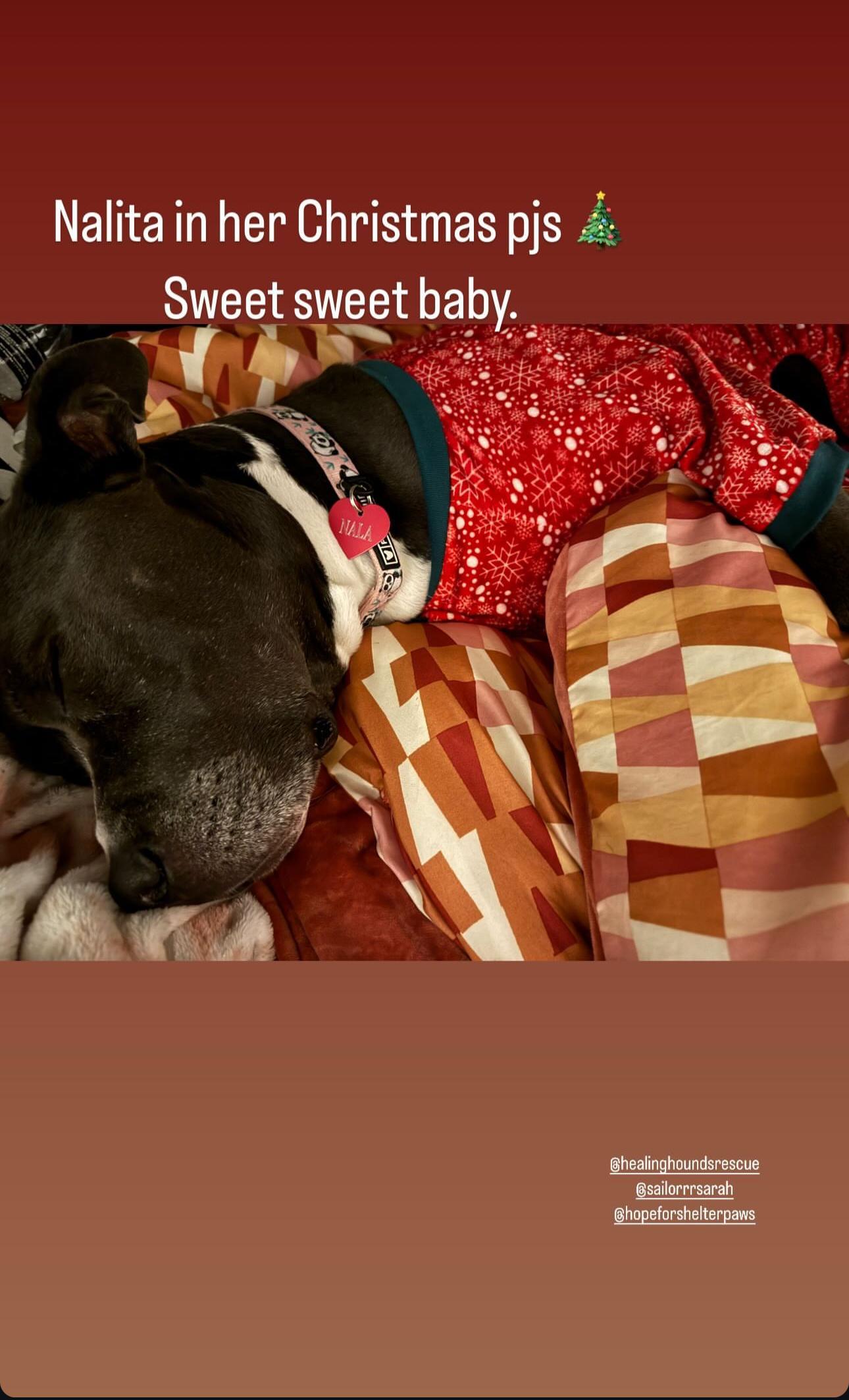 Nala