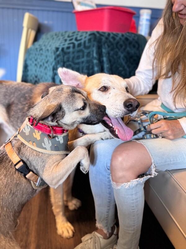 Hanky Pank — thumbnail 2