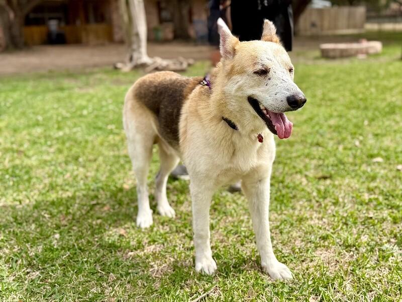 Hanky Pank — thumbnail 4