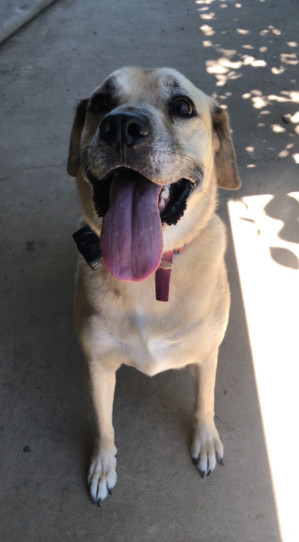 Lucy photo 3