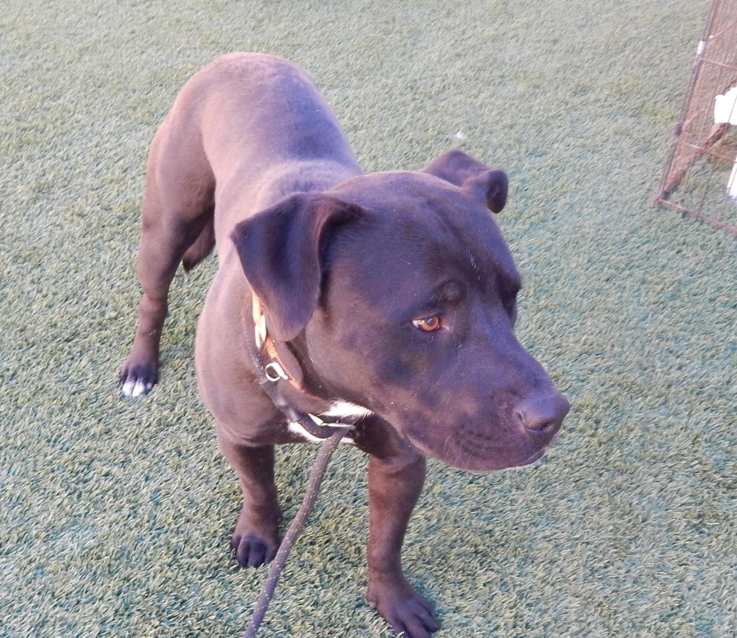 Oakley