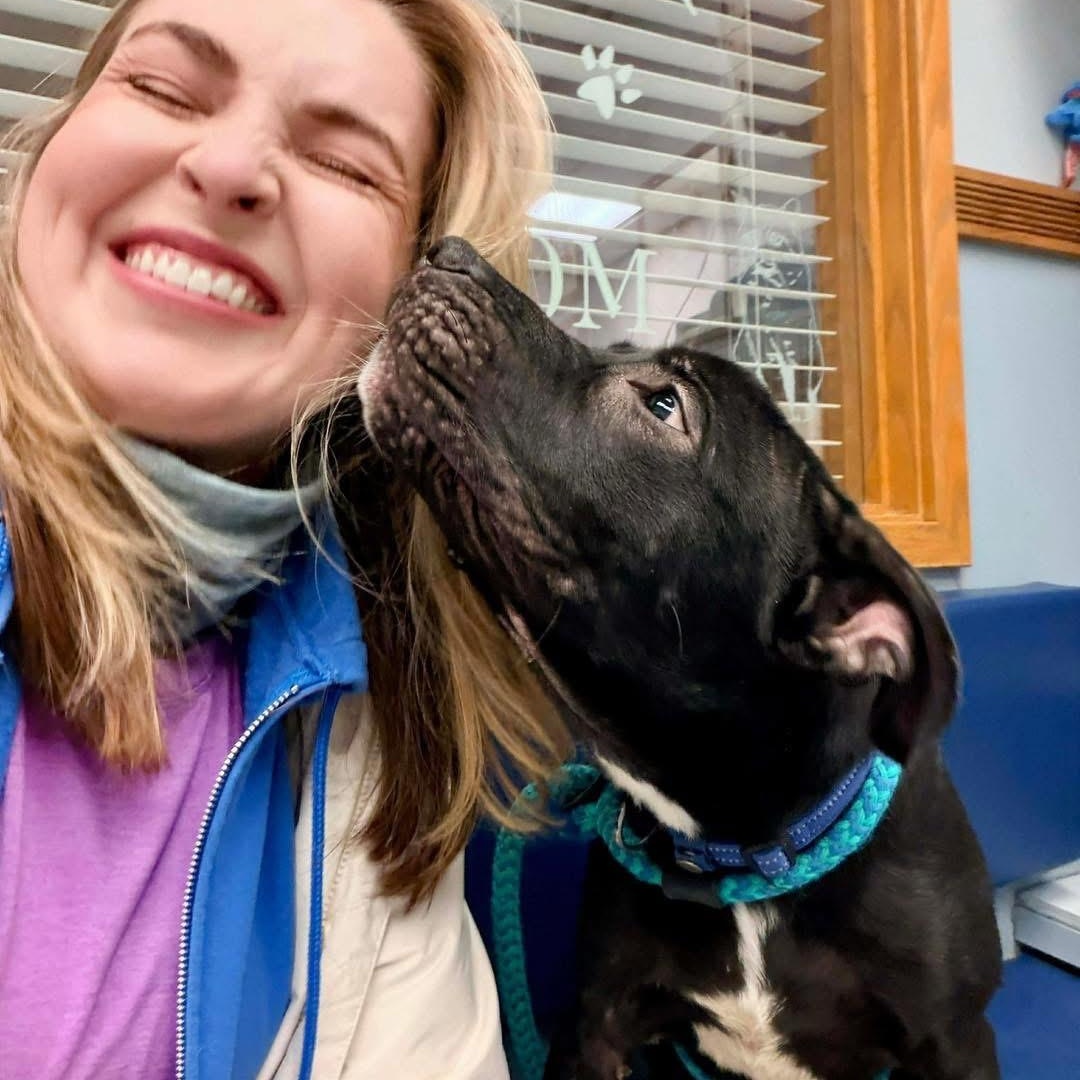 Enlarge Fang, an adopted mixed breed in Buffalo, NY image 2/6