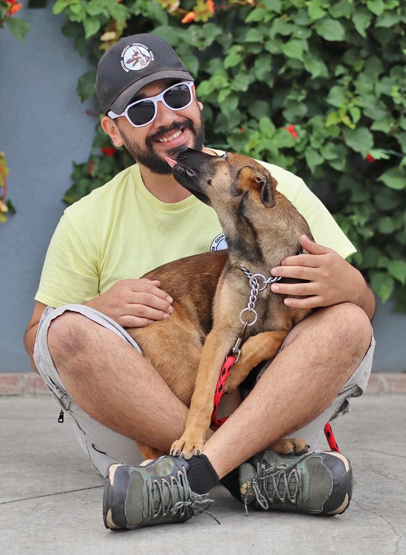 Enlarge Sasha von Seffern, a Adopted mixed breed in Los Angeles, CA image 2/5