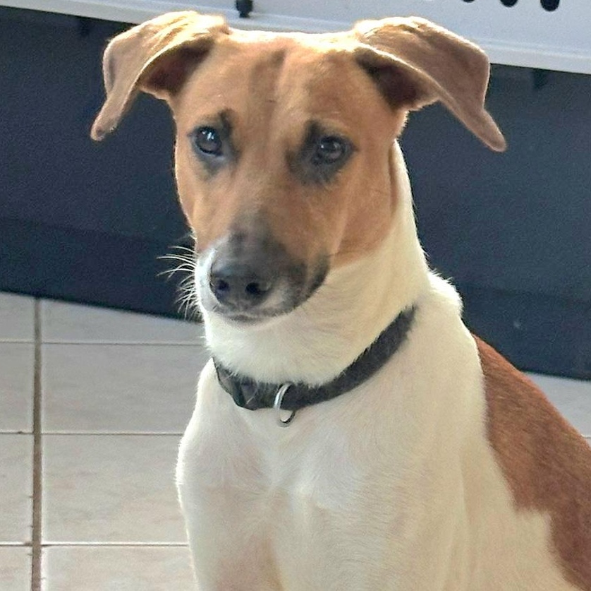 Sheklana "let's Love Today."