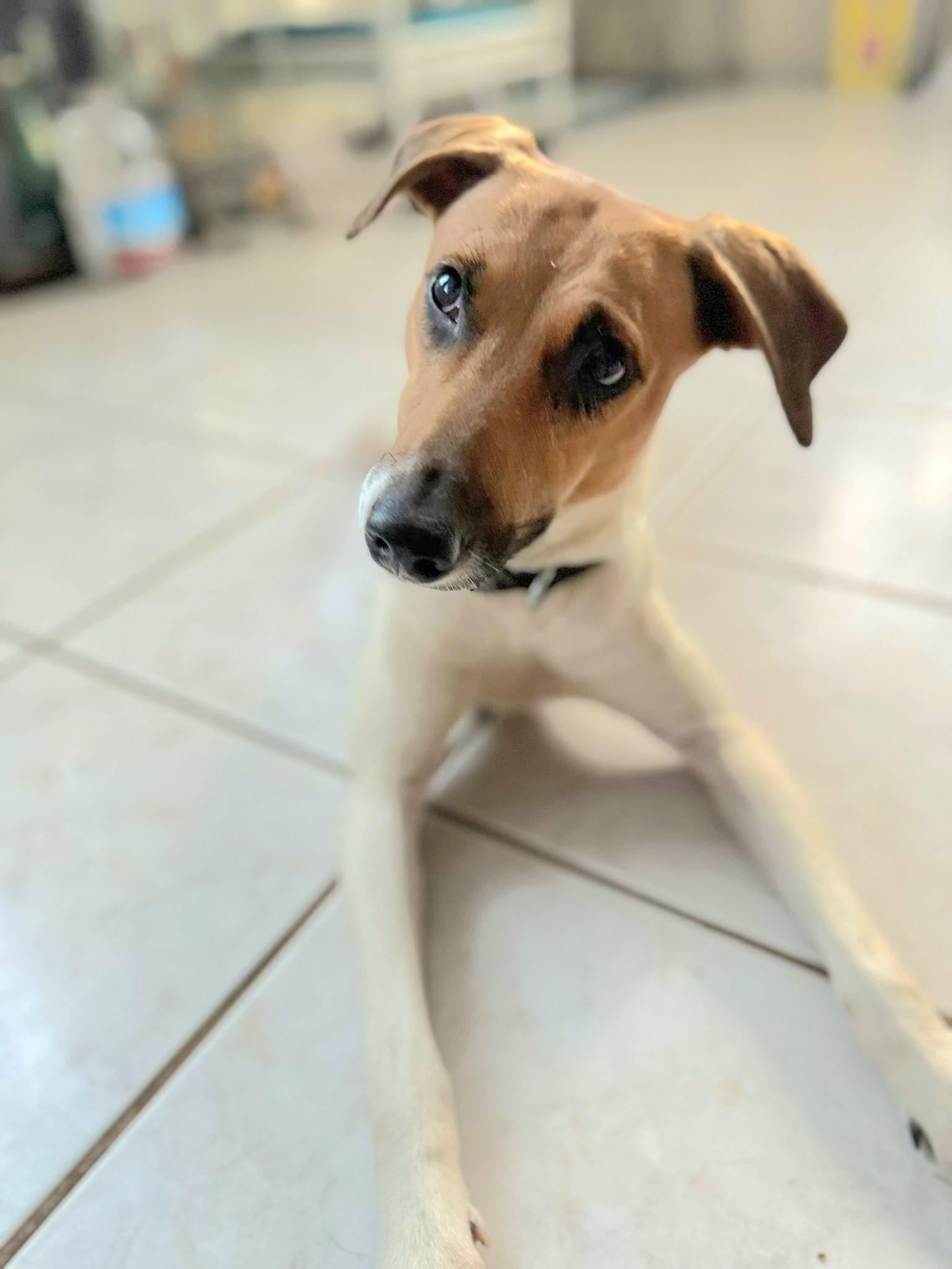 Sheklana "let's Love Today." thumbnail 5