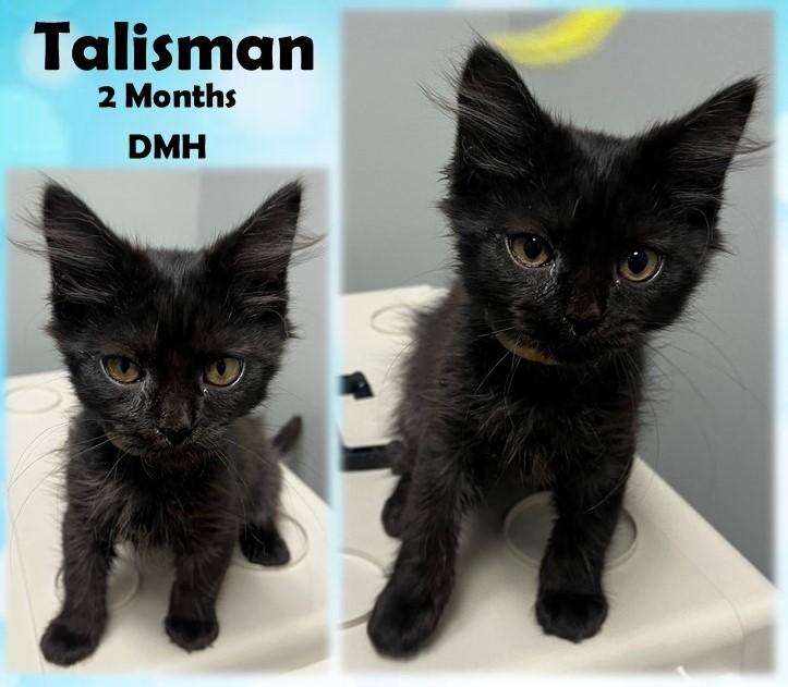 Talisman