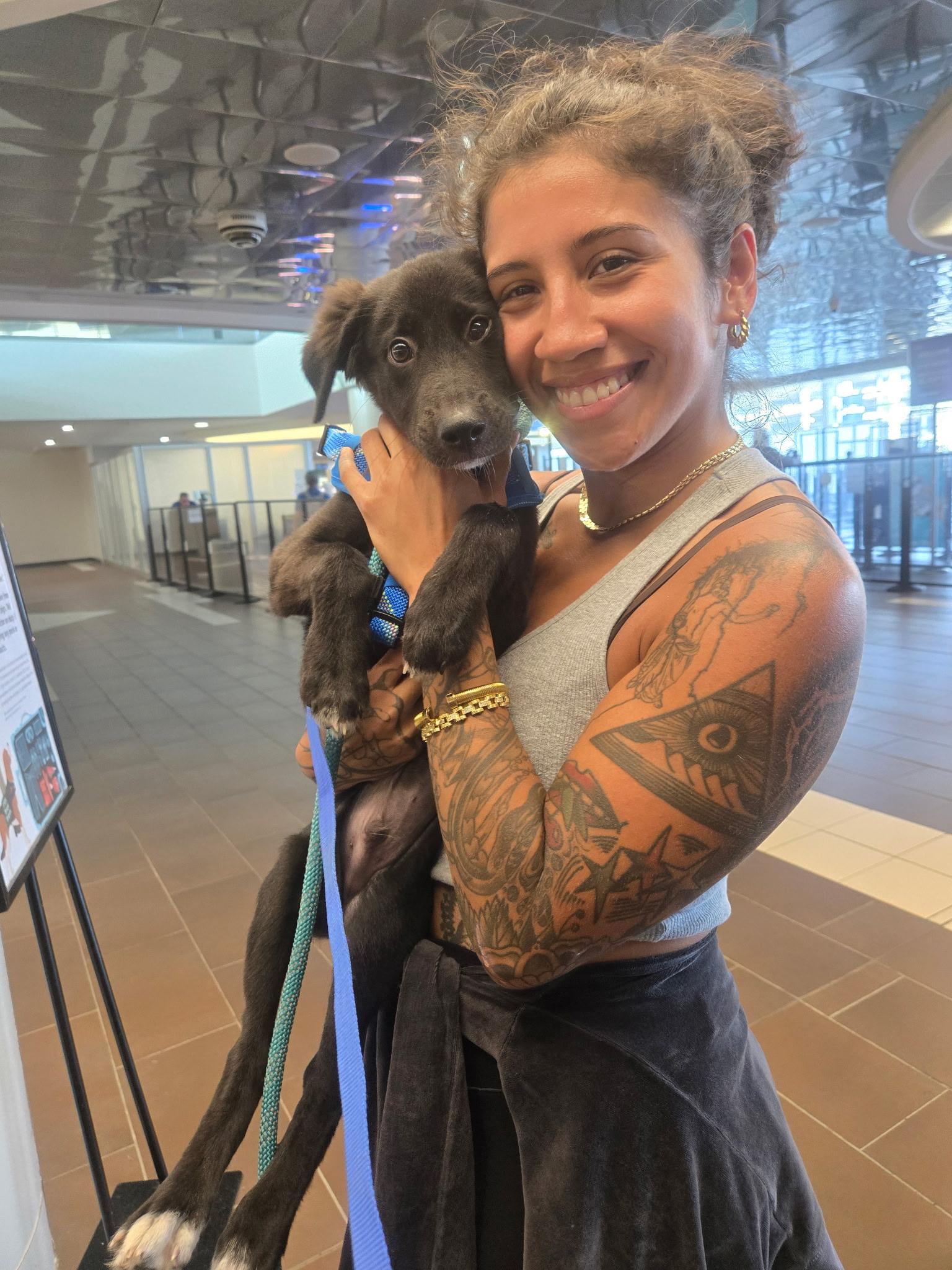 Enlarge Pepsi, a Adopted mixed breed in Montclair, NJ image 2/4