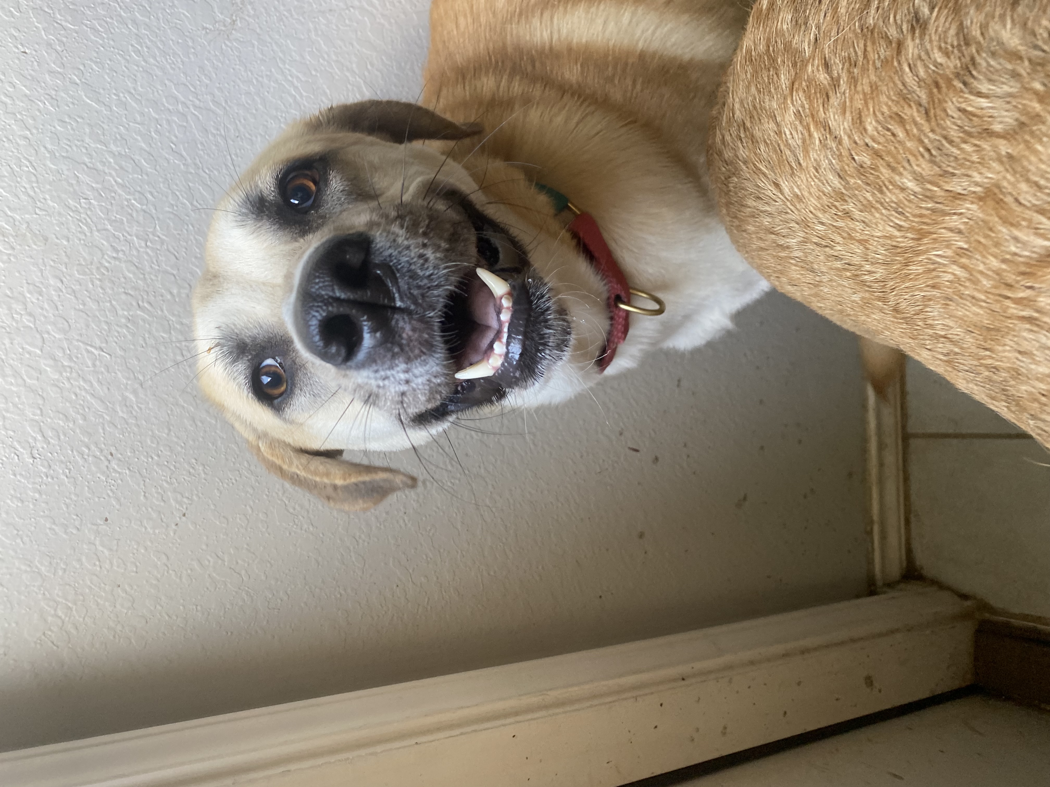 Ranger photo 2