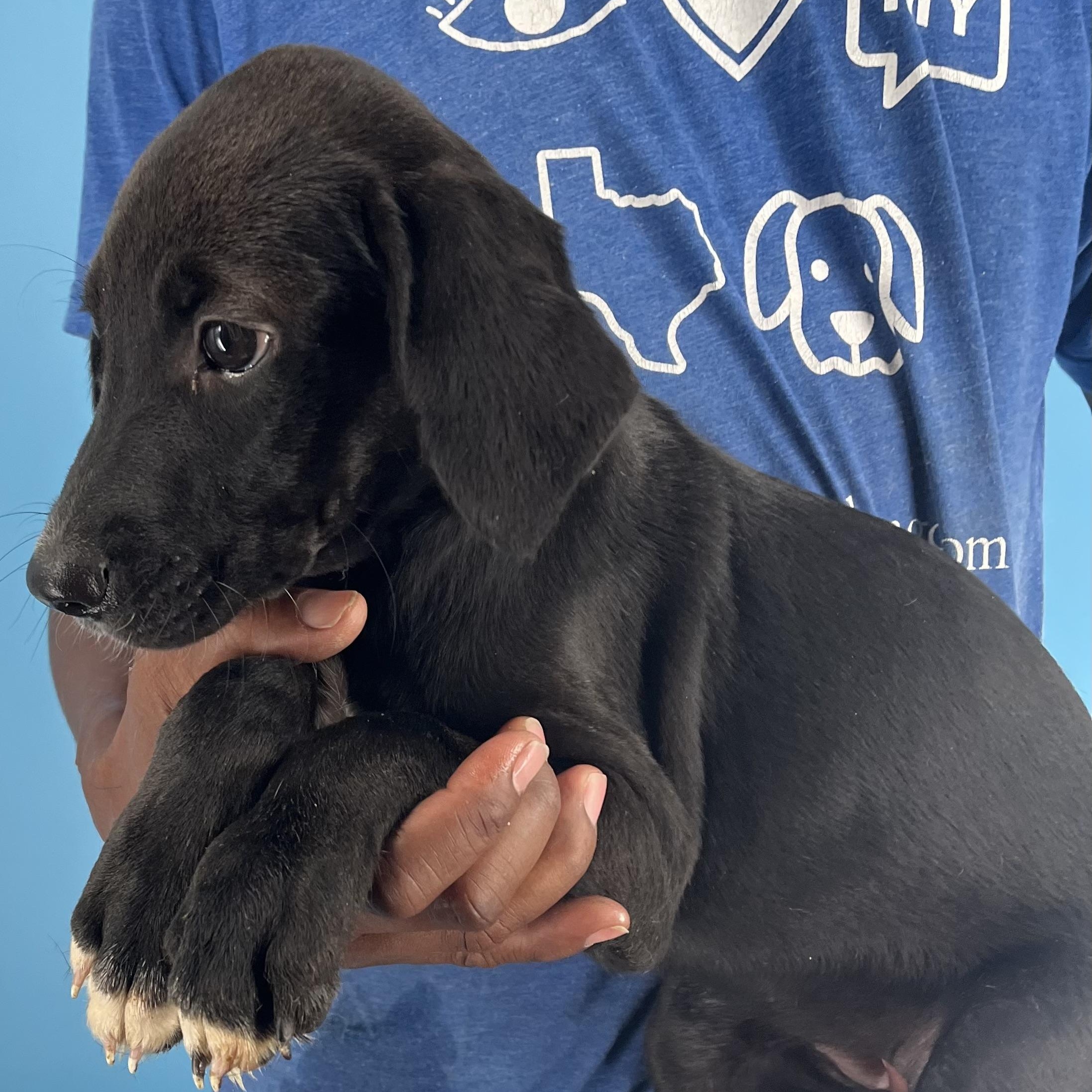 Eden - Local Sept 26-28