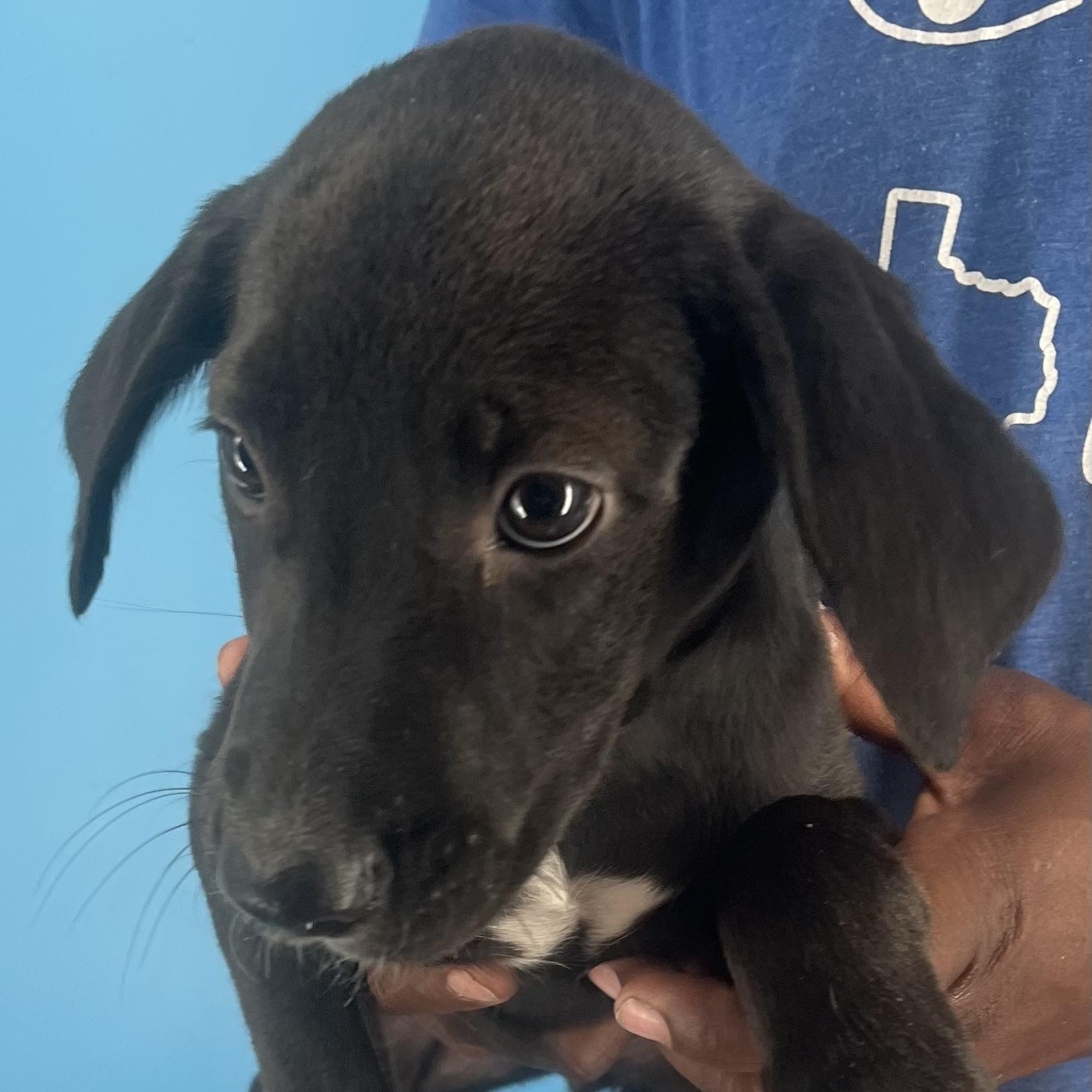 Eden - Local Sept 26-28