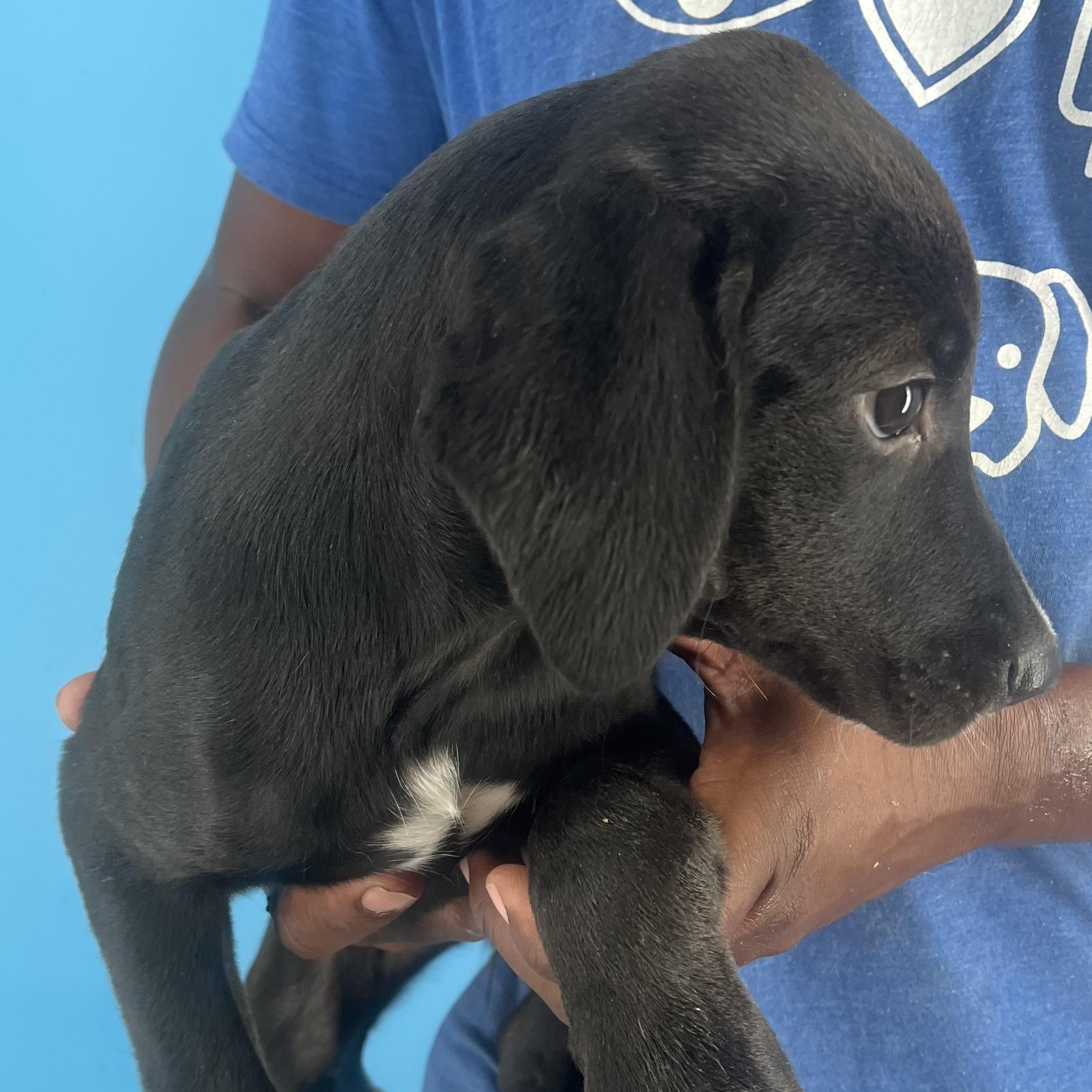 Eden - Local Sept 26-28