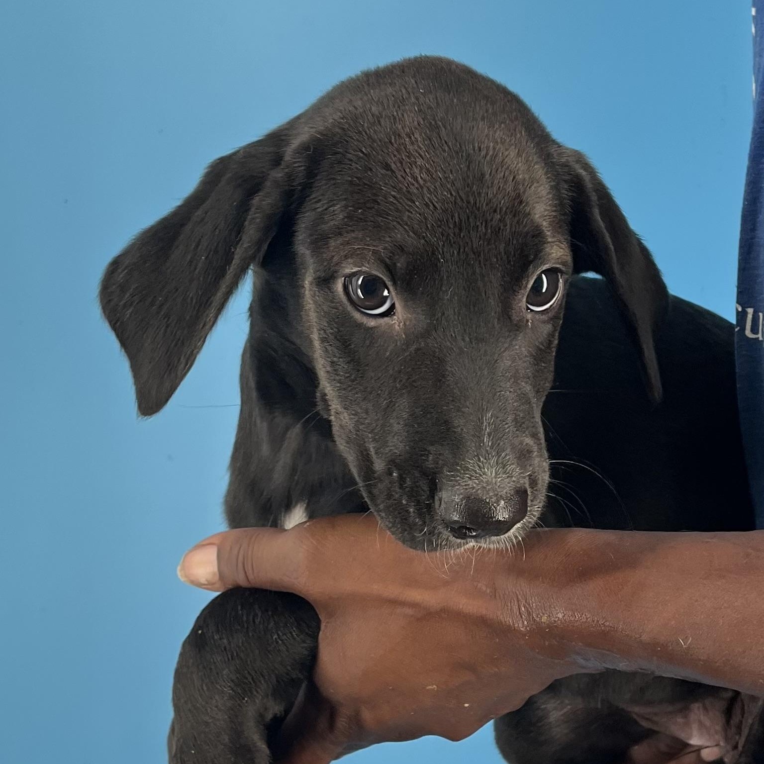 Eden - Local Sept 26-28