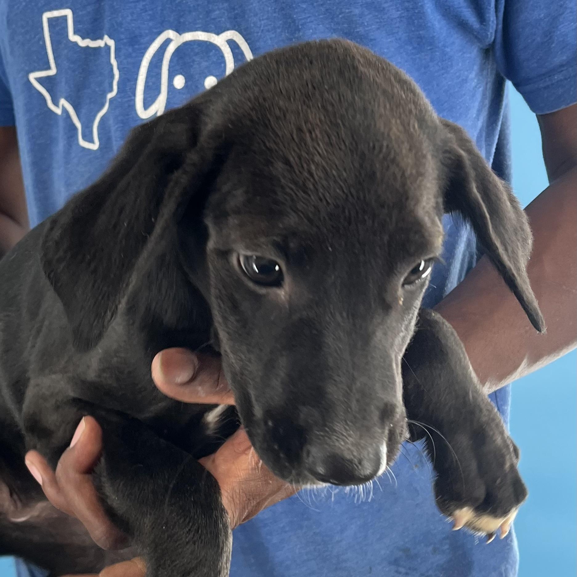 Eden - Local Sept 26-28