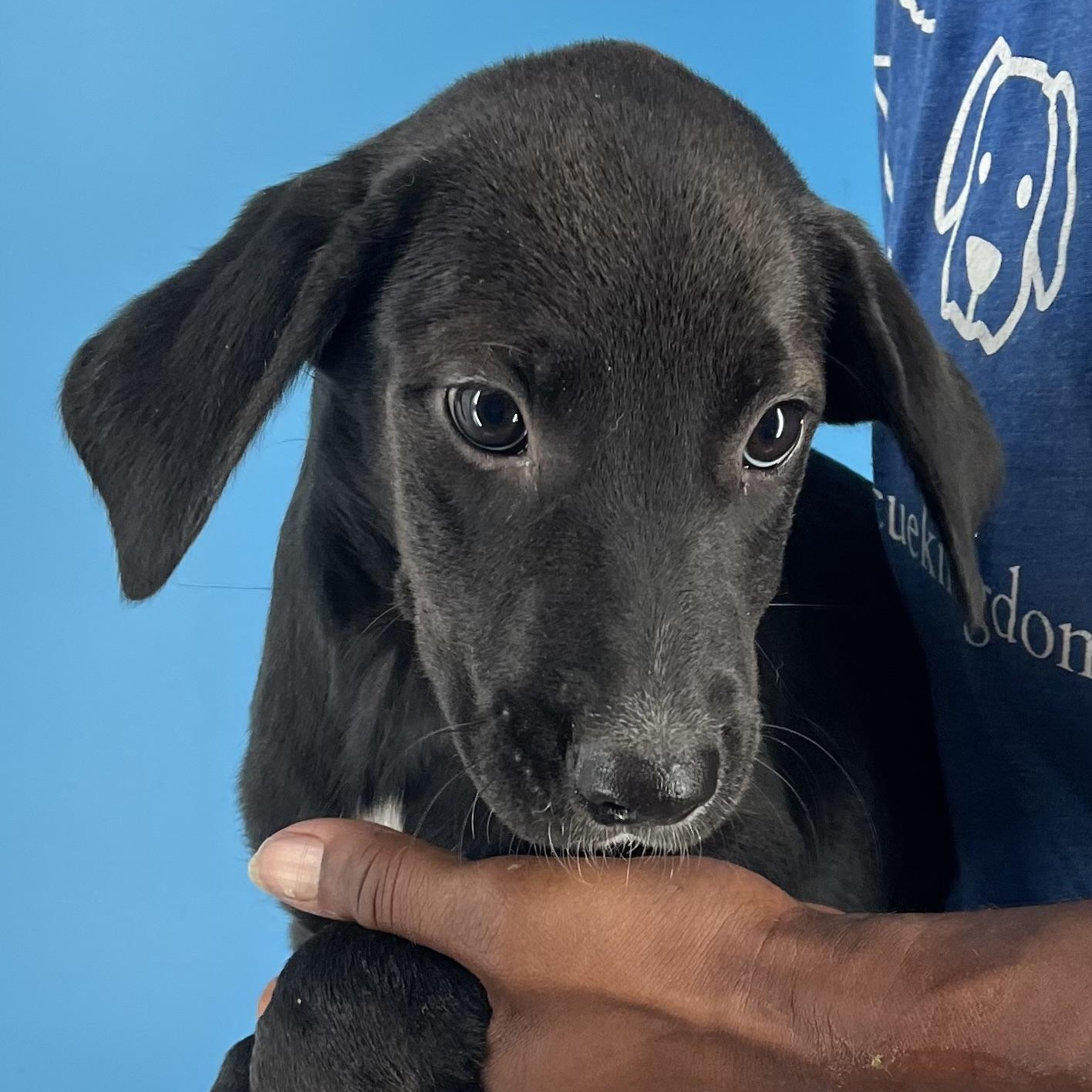 Eden - Local Sept 26-28