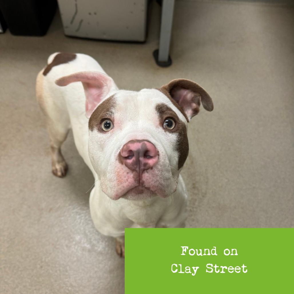 Slinky — thumbnail 2