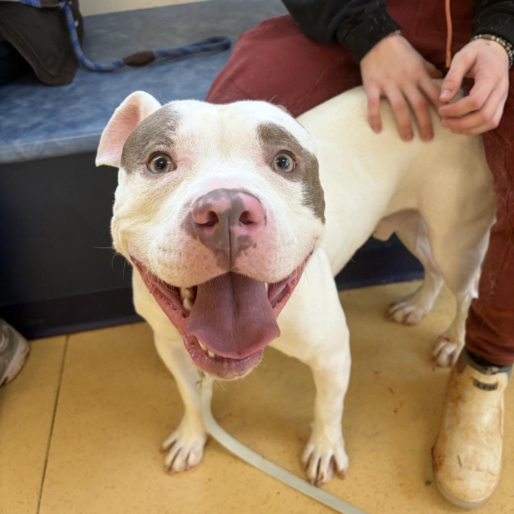 Slinky — thumbnail 5