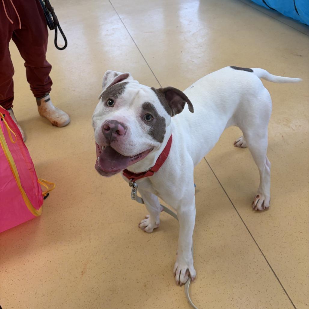 Slinky — thumbnail 6