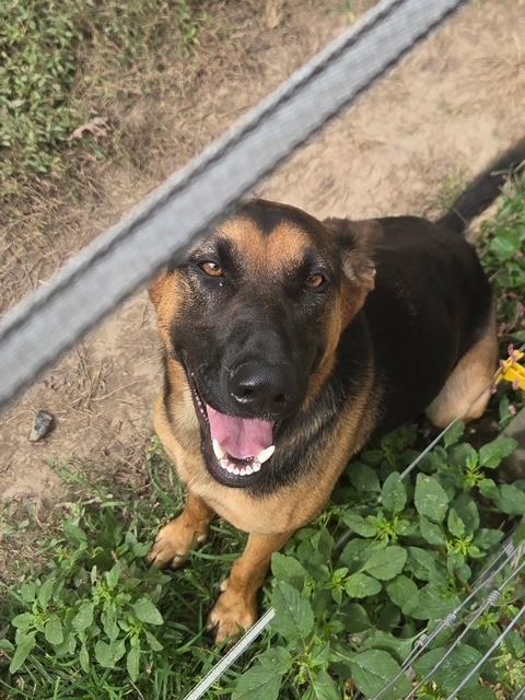 Lucy Elf thumbnail 6