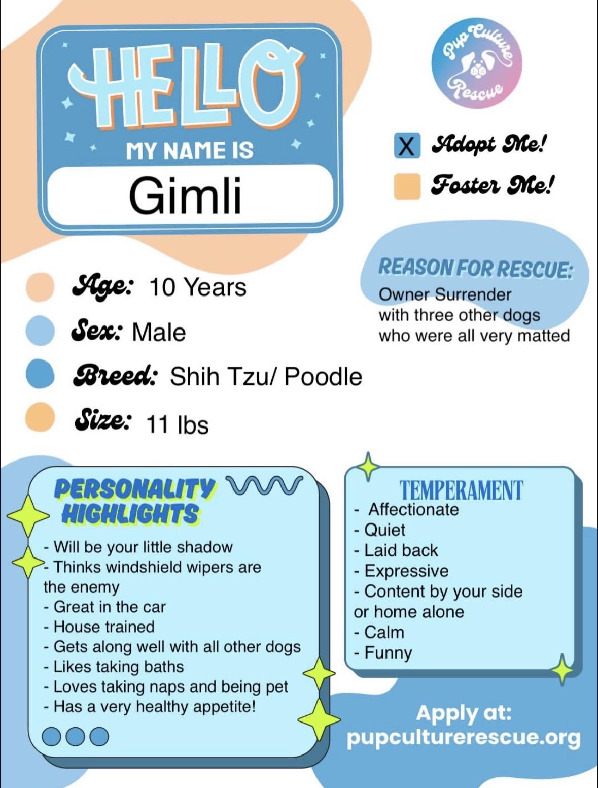 Gimli, a Adoptable mixed breed in Pasadena, CA image 2/6