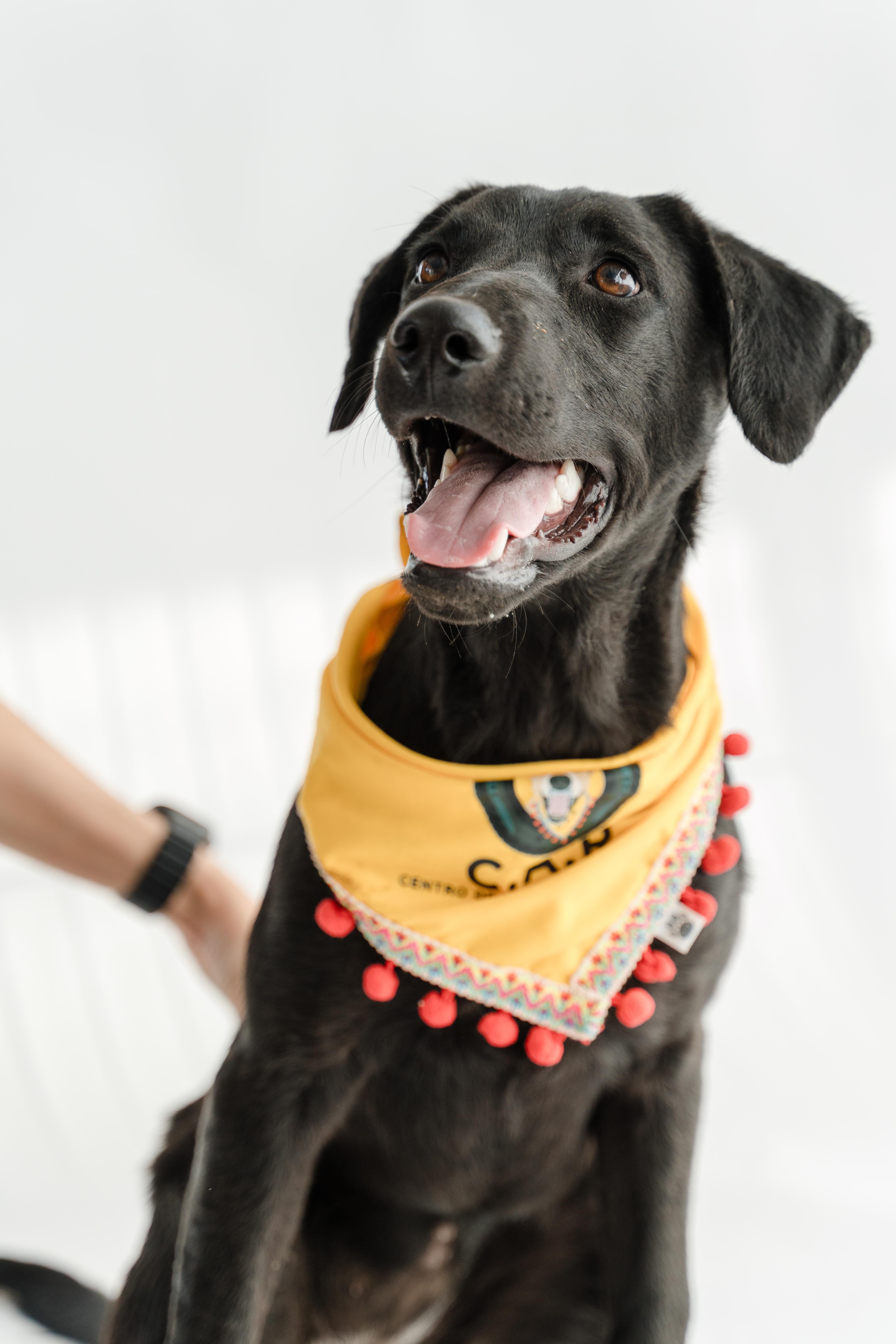 Morita — thumbnail 6