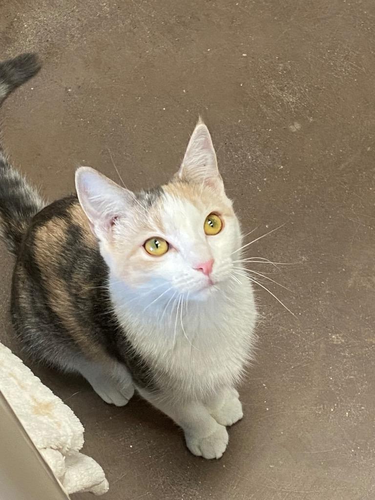 Christine thumbnail 3