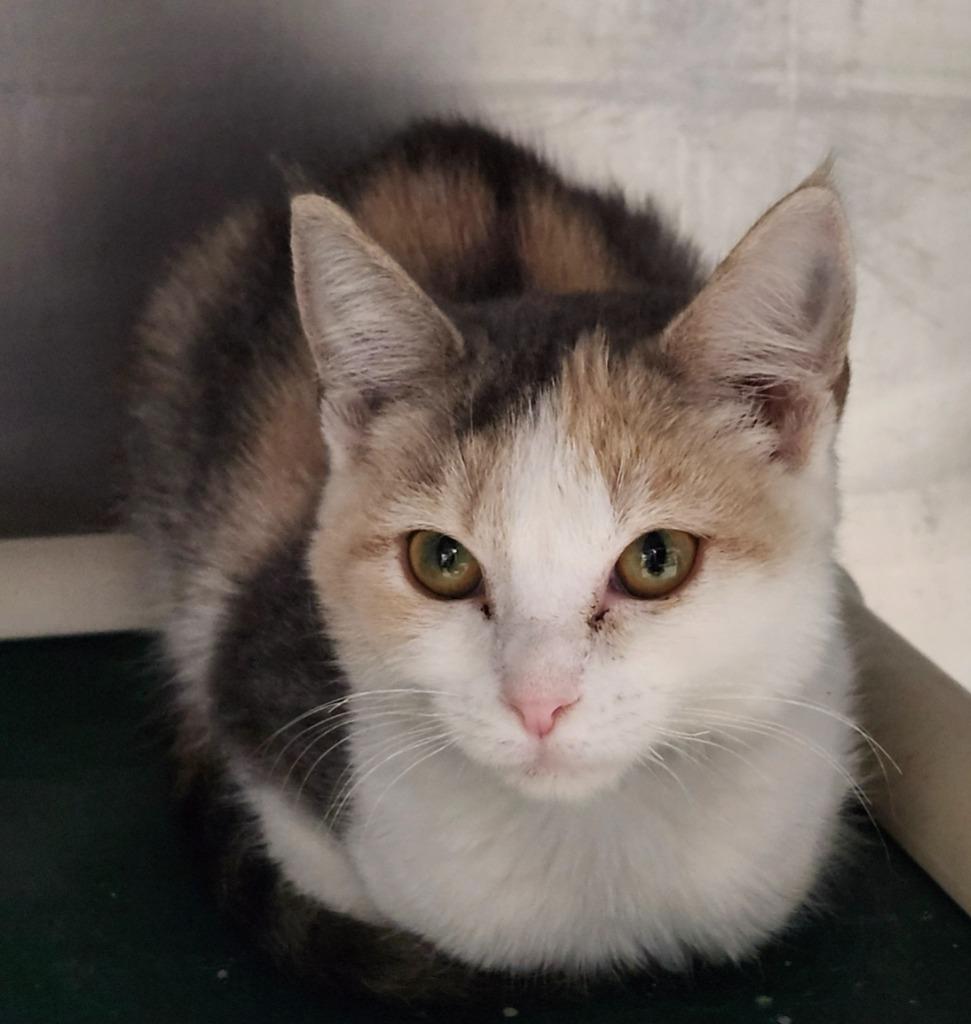 Christine thumbnail 4