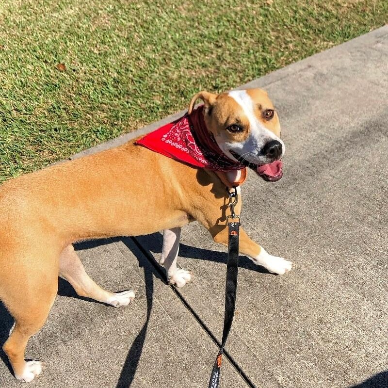 Sandy Avalon The Girl with the Gentlest soul