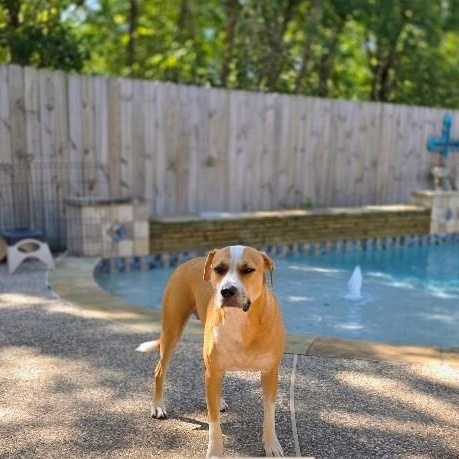 Sandy Avalon The Girl with the Gentlest soul — thumbnail 2