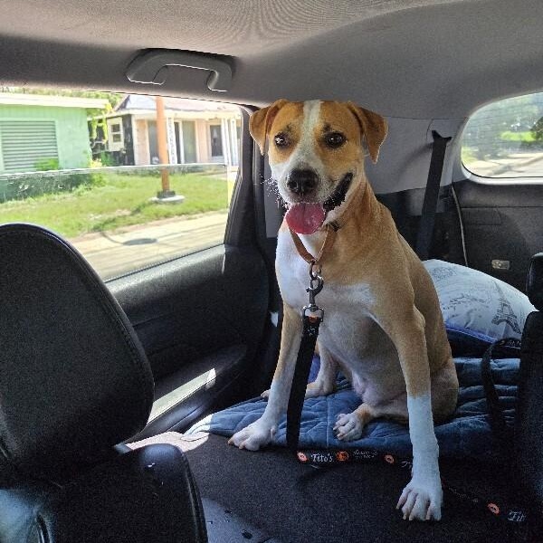 Sandy Avalon The Girl with the Gentlest soul — thumbnail 5