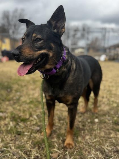 Maricela — thumbnail 2