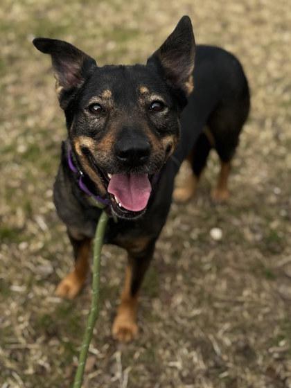 Maricela — thumbnail 3