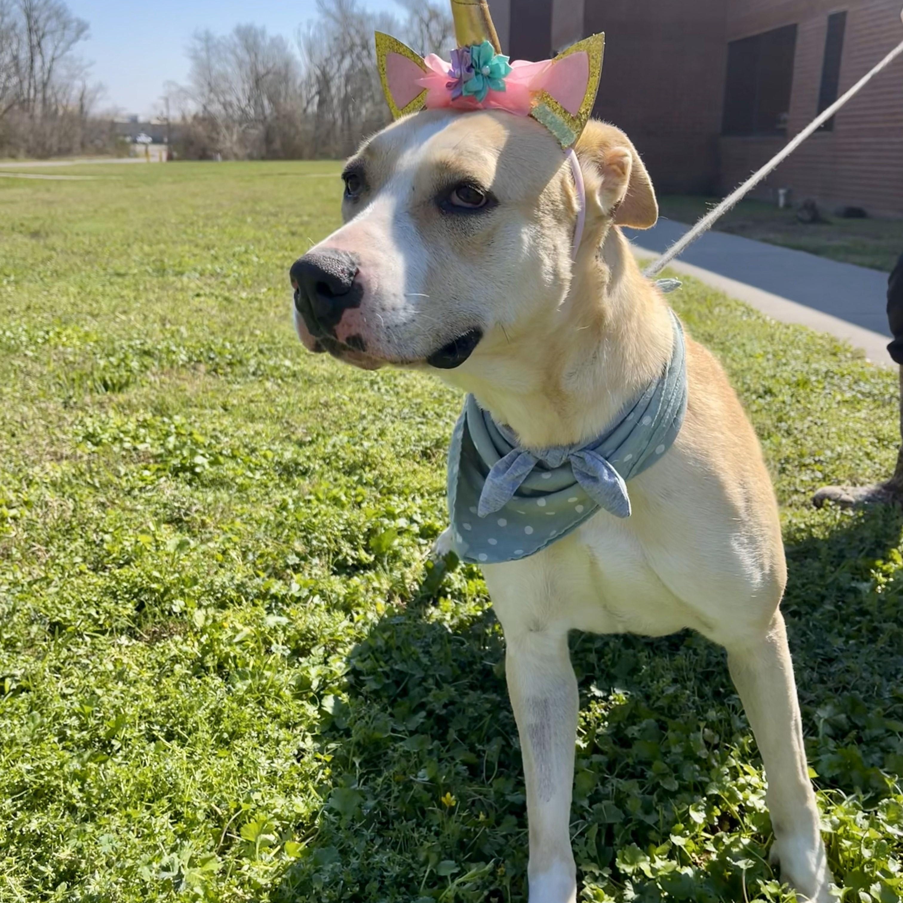 Marina — thumbnail 3