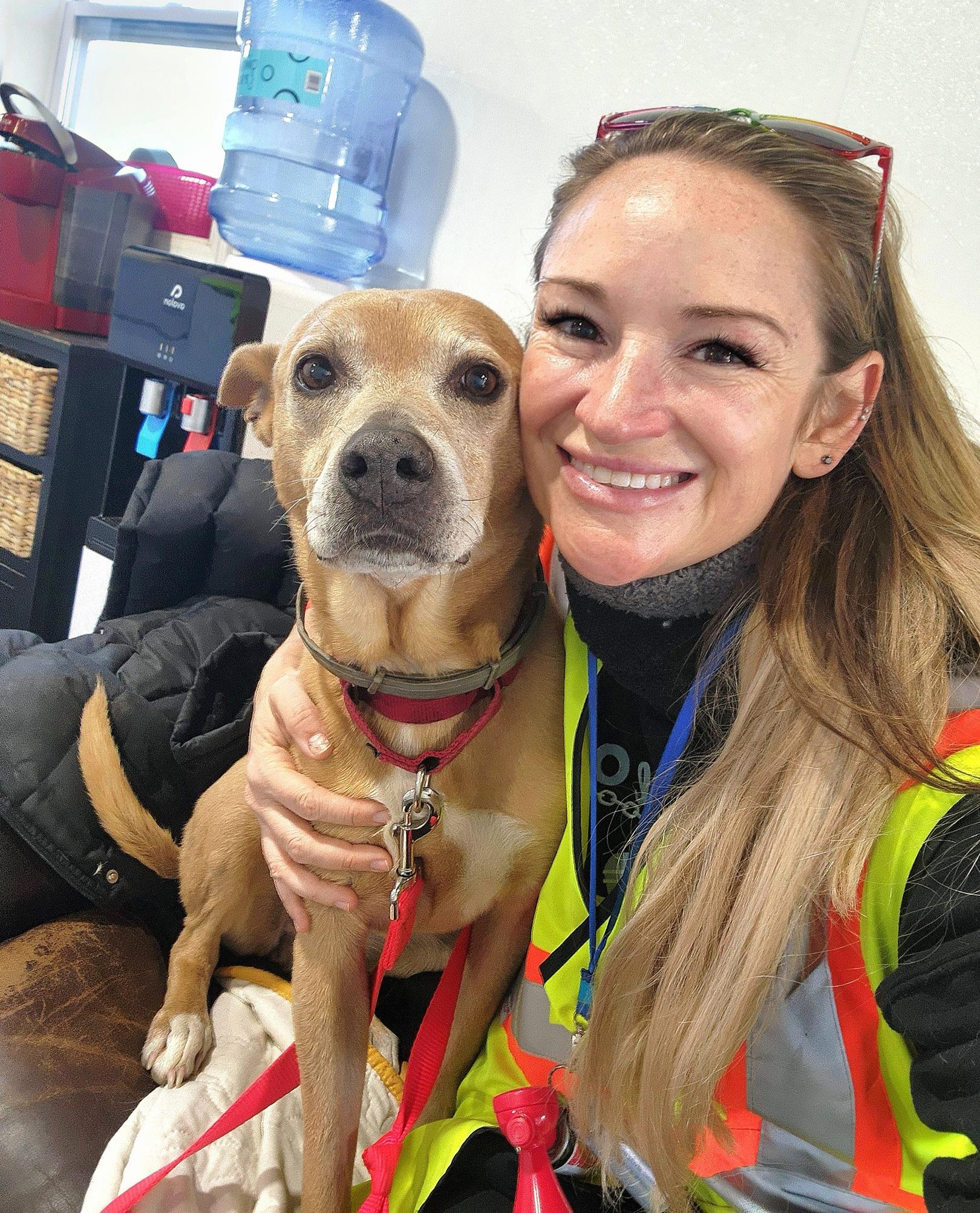 Lolita, a Adoptable mixed breed in Darien Center, NY image 5/6